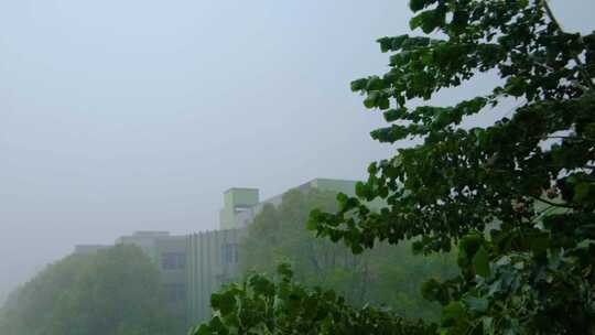 城市洪涝灾害狂风暴雨倾盆大雨下雨天雨水雨