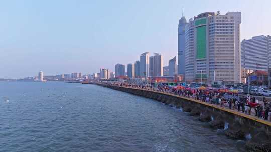 烟台滨海广场 海鸥