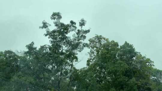 玻璃水珠雨滴车窗上的雨水窗外树林森林植物