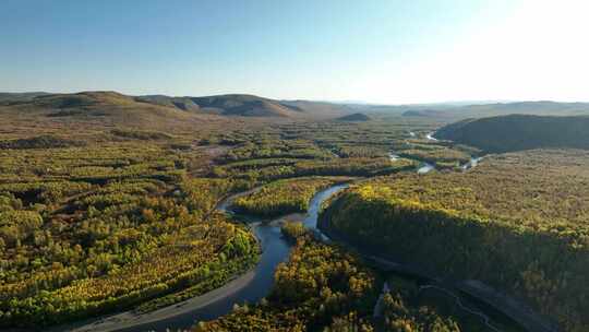 航拍秋季蜿蜒的森林河
