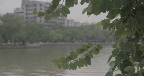 惠州西湖风景区