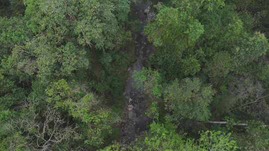 西双版纳勐腊县勐远仙境热带雨林溪流