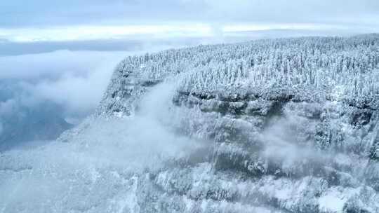 冰雪瓦屋山 瓦屋山 桌山 瓦屋山冬景