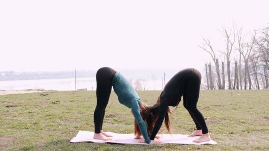 两个女人在草地上一起做瑜伽视频素材模板下载