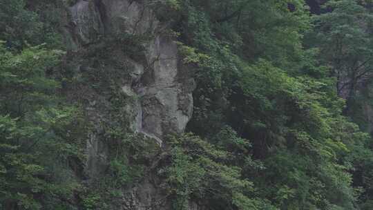 大山险要岩壁林木骏景