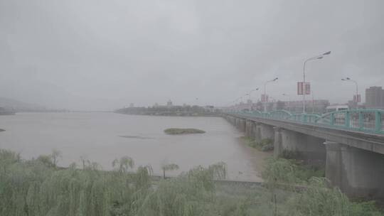 暴雨洪水LOG视频素材