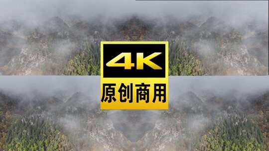 青海互助北山秋林云雾航拍视频高清在线视频素材下载