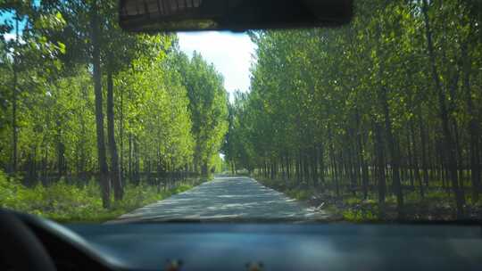 驾驶视角行驶在乡间颠簸的公路小道视频素材模板下载