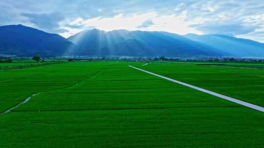 大理苍山耶稣光稻田景观