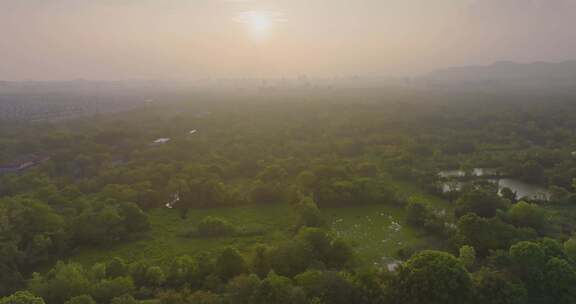 杭州西溪湿地公园夏天风光航拍