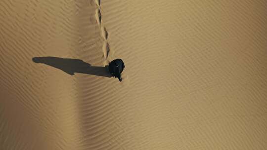 沙漠徒步探索航拍视频素材模板下载