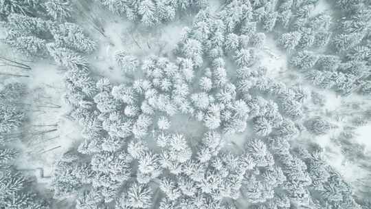 中国黑龙江林海雪原森林雪景航拍合集