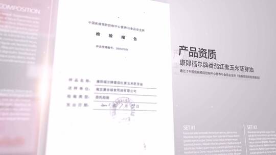 干净荣誉证书图文展示AE模板