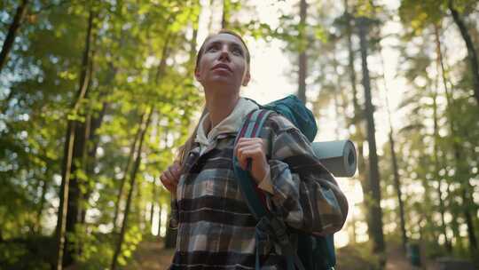 女人，森林树木，背包，徒步旅行者