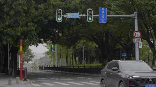 2023广州黄埔区交通红绿灯人行道视频素材模板下载