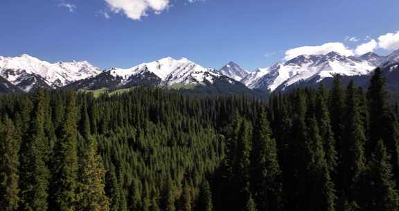 新疆库尔德宁雪山航拍