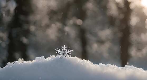 雪花特写雪景下雪天大雪纷飞白雪皑皑雪风景