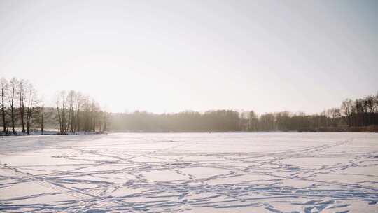 森林中白雪覆盖的土地的景色