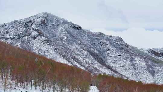 4k航拍车辆行驶在雪后的山林中