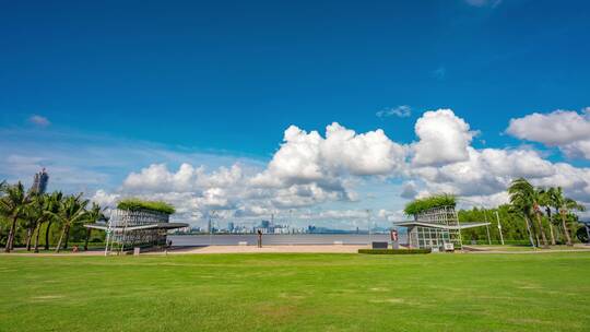 深圳湾海岸线