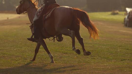 人骑着马在草地上奔跑延时视频素材模板下载