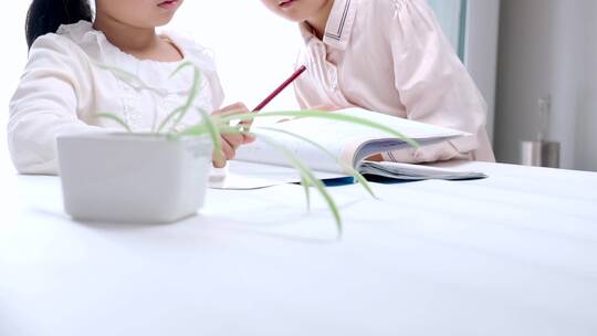 两名认真写作业学习的中国女孩