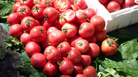 西红柿蔬菜果实果蔬市场市集特写视频素材模板下载