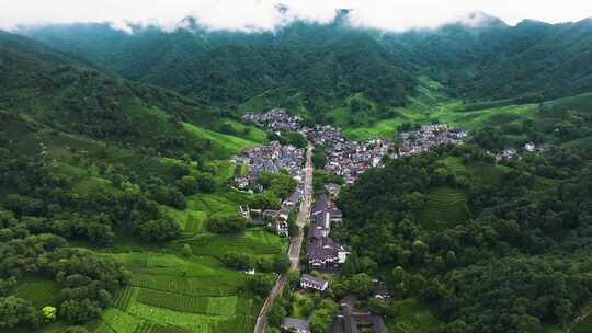 杭州西湖龙井茶园梅家坞清新茶山