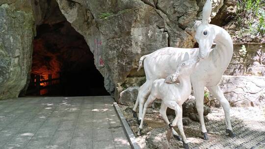郴州苏仙岭白鹿洞雕塑洞口视频素材模板下载