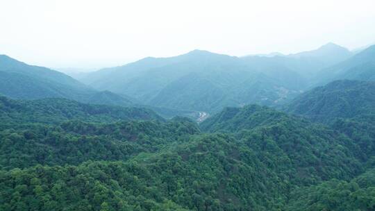 青城山后山自然风光