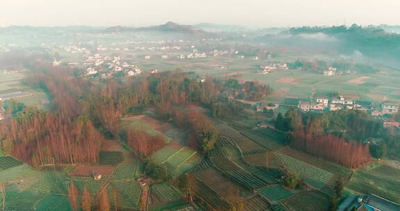 秋日清晨的村子薄雾漂浮在半空中