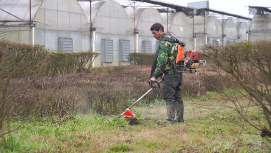 农民工使用割草机割草