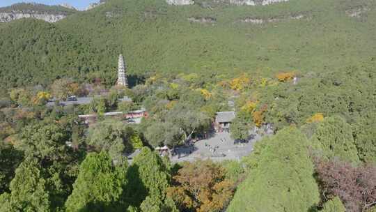 秋天的灵岩寺