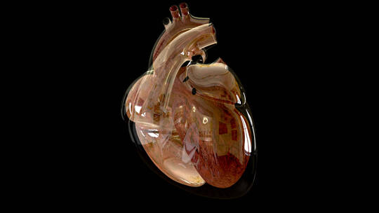 心脏 结构 医学 心跳 心 三维视频素材模板下载