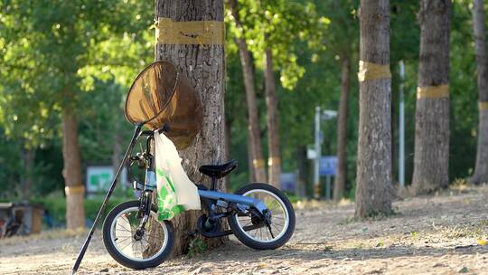 午后公园树下的儿童自行车视频素材模板下载
