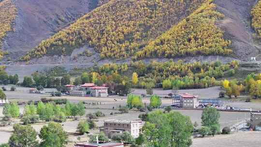 航拍四川甘孜新都桥甲根坝彩林秋景风光