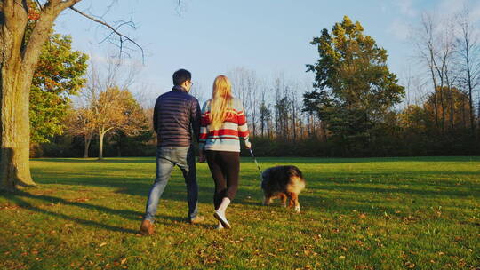 夫妇和狗在公园里散步的后视图