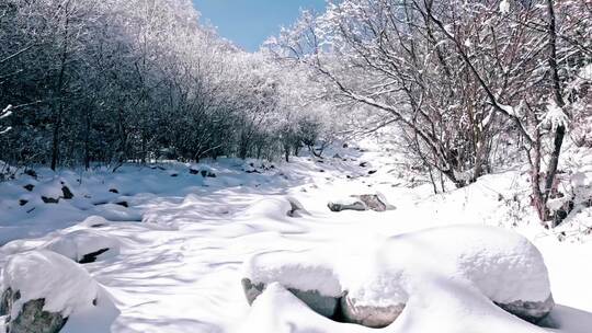 秦岭森林雾凇雪景视频素材模板下载