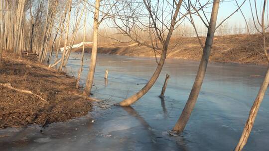 4K北方冬天阳光下结冰的河流自然景观