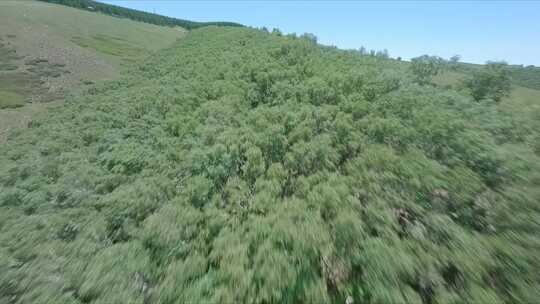 穿越机航拍内蒙古呼和浩特敕勒川高山草原