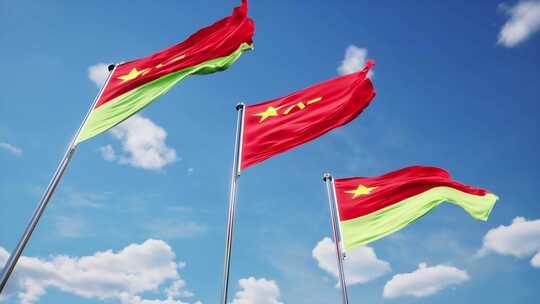 陆军军旗合集多角度展示