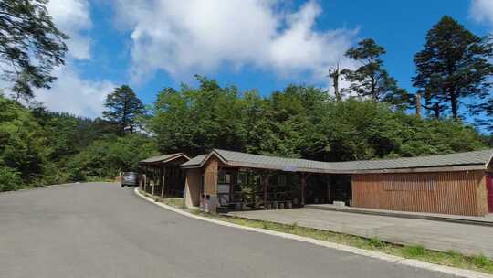 林间木质小屋与空旷道路的自然风景