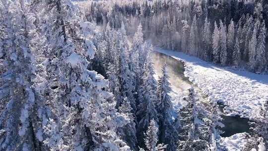 雪村雪山雪地雪松雪