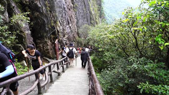 清晨爬山登山上楼梯背影脚步特写森林爬楼梯