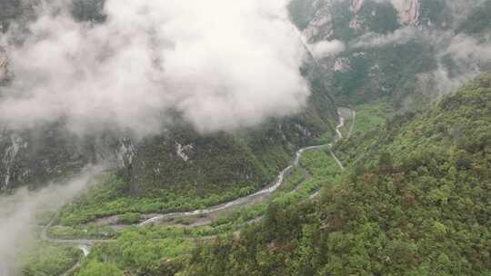 山谷里的云雾天气