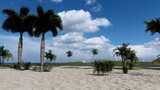 海边沙滩椰子树高清在线视频素材下载