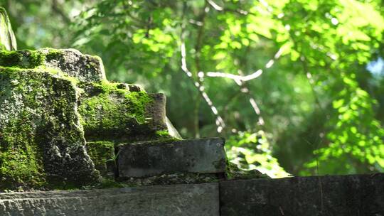 爬满青苔的古建筑神秘遗址砖墙视频素材模板下载