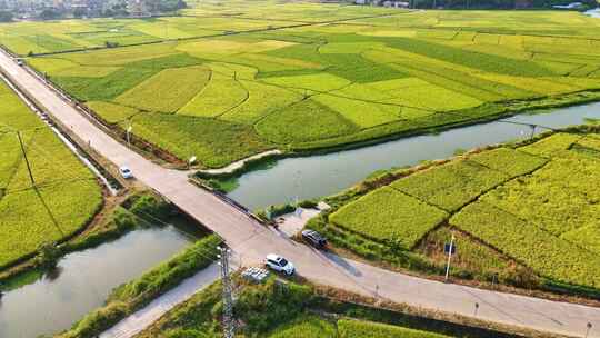 航拍乡村稻田与道路河流交织的美丽风光