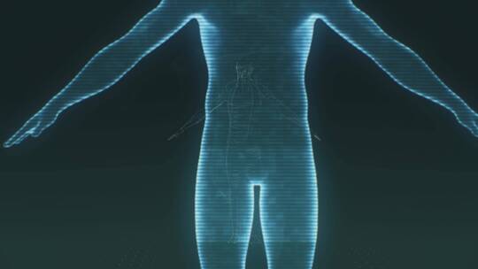 数字科技展示人体