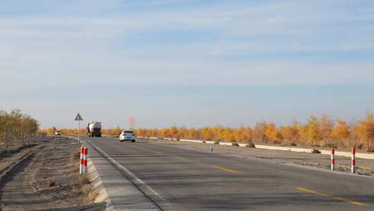 穿越金秋戈壁胡杨林道路车流延时